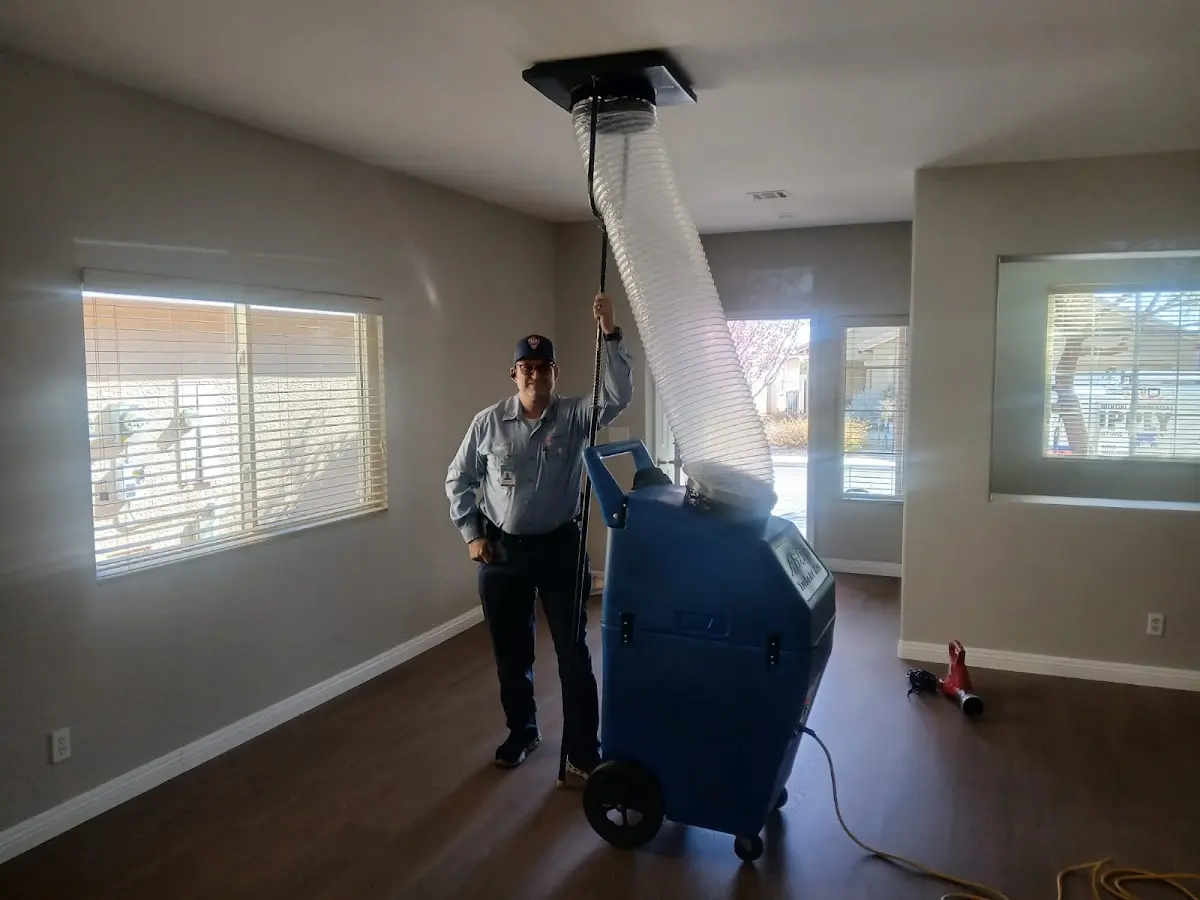 Professional Dryer Vent Cleaning work inside a Williston home